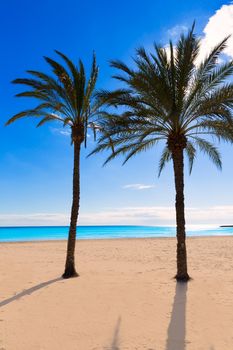 Alicante Postiguet beach at Mediterranean sea in Spain valencian community