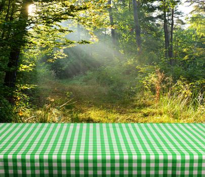 Empty gingham table with forest background. Ready for product display montage. 