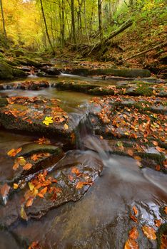 Beautiful autumn river