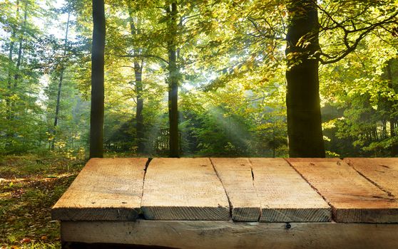 empty wooden table and forest in background. Great for product display montages.
