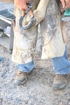 Male farrier working on a horseshoe outside.