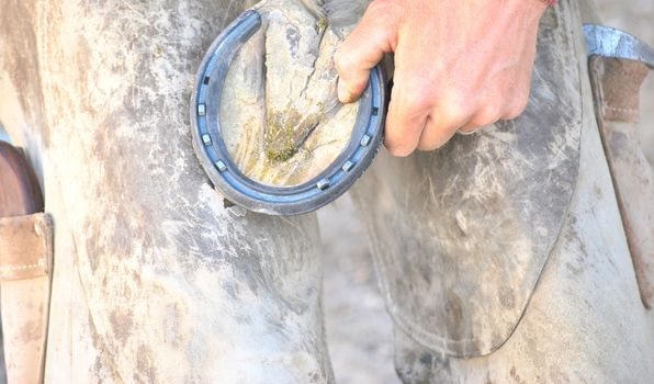 Male farrier working on a horseshoe outside.