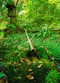 Traditional asian bamboo fountain in japanese garden