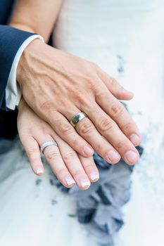 Bride and groom's hands with wedding rings