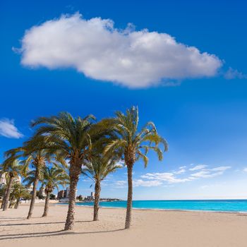 Alicante San Juan beach of La Albufereta with palms trees in Mediterranean Spain