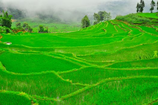 South China, Yunnan - 2011: Rice terraces in highlands of southeastern China, farmhouses, ethnic village. Rice terraces rice paddies Asia, peasant village in mountains China.