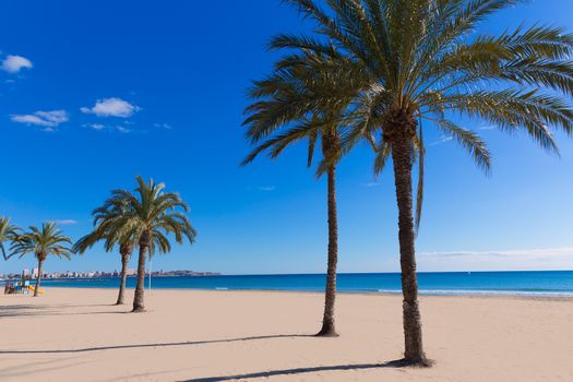 Alicante Postiguet beach at Mediterranean sea in Spain valencian community