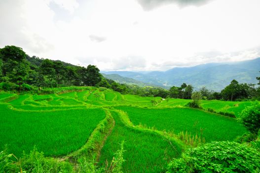 South China, Yunnan - 2011: Rice terraces in highlands of southeastern China, farmhouses, ethnic village. Rice terraces rice paddies Asia, peasant village in mountains China.