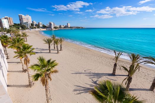 Alicante San Juan beach of La Albufereta with palms trees in Mediterranean Spain