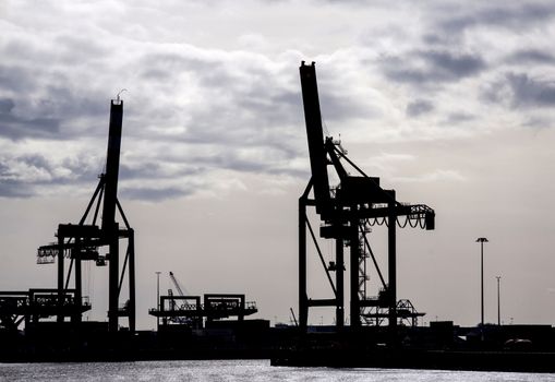 Sihouette of cranes in the port of Rotterdam