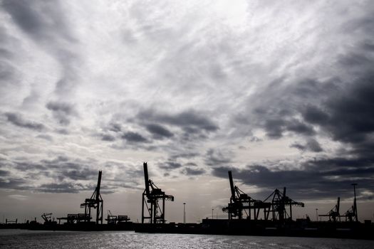 Sihouette of cranes in the port of Rotterdam