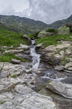 Mountain river flowing at summer forest landscape