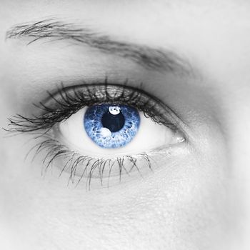 Blue woman eye macro shot