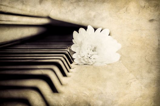 Close-up detail of piano keyboard and beautiful flower in monochrome look