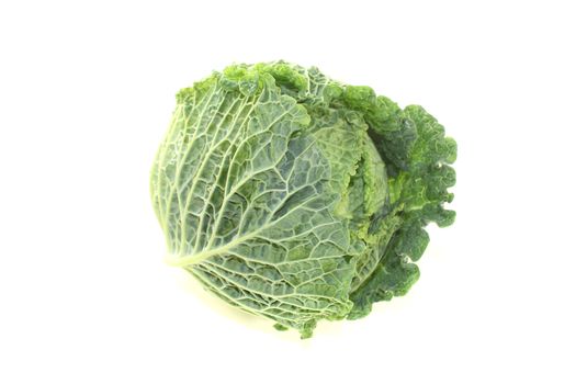 fresh savoy cabbage on a bright background