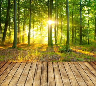Empty wooden table and green forest in background