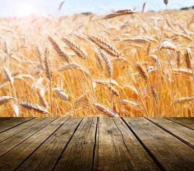 Wooden deck table rye field background