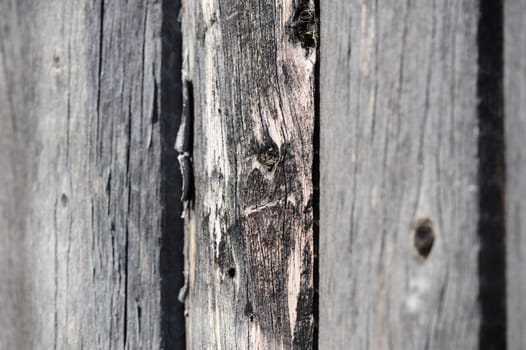 cracked aged weathered wooden boards, selective focus