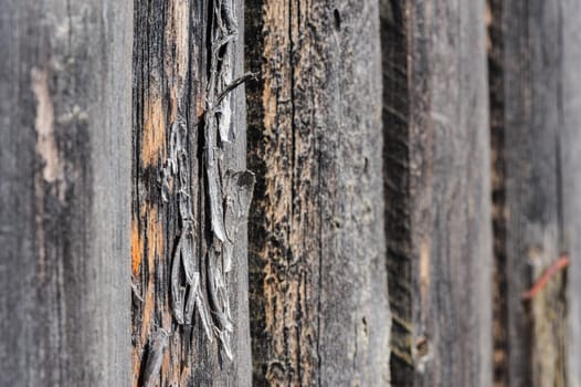 cracked aged weathered wooden boards, selective focus