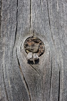 cracked aged weathered wooden board with knot, selective focus
