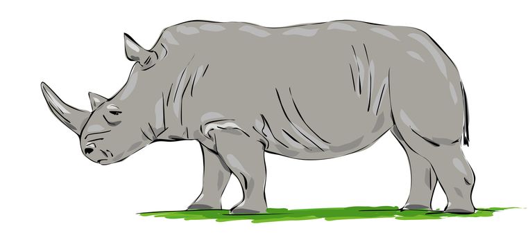 An image of a nice grey rhino