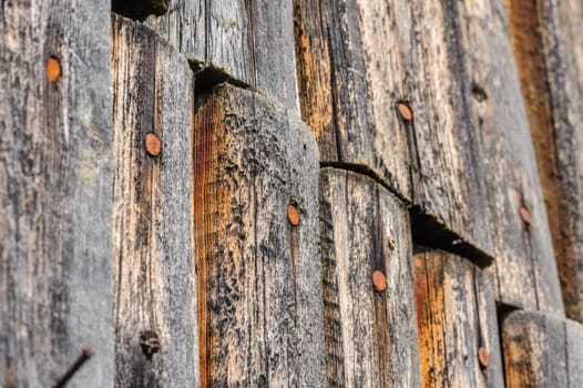 aged weathered wooden wall with rusty nails, selective focus