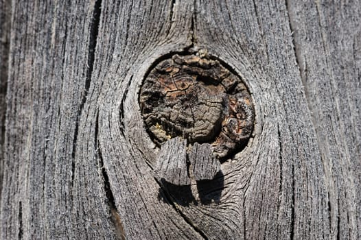 cracked aged weathered wooden board with knot, selective focus