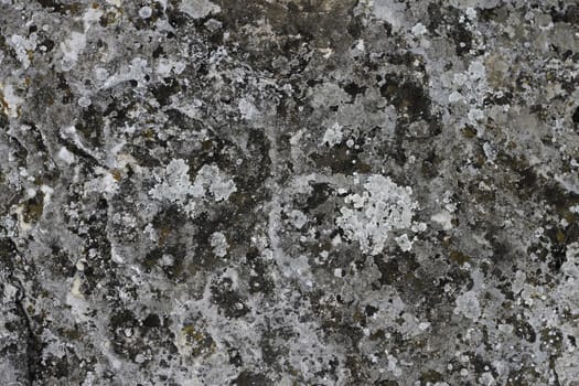 Natural background with a stone and the moss
