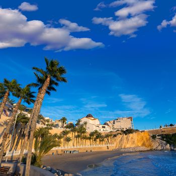 Benidorm Alicante playa del Mal Pas beach at sunset in Spain with palm trees