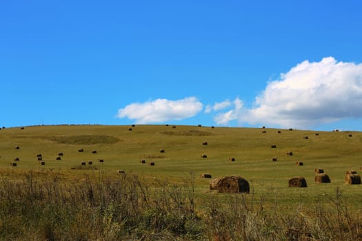 Straw roll bale on the field of farmland
