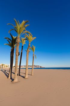 Benidorm Alicante playa de Poniente beach in spain Valencian community