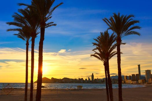Benidorm Alicante playa de Poniente beach sunset in Spain with palm trees