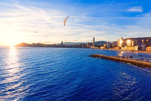 Benidorm Alicante sunset playa de Poniente beach in Spain Valencian community