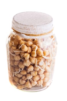 Top View of Sprouting Chickpeas Growing in a Glass Jar Isolated on White Background