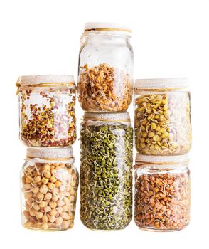 Stack of Different Sprouting Seeds Growing in a Glass Jar Isolated on White Background