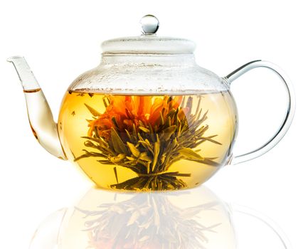 Studio shot of Tea Flower in a Clear Teapot Isolated on White Background