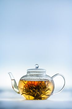 Studio shot of Tea Flower in a Clear Teapot