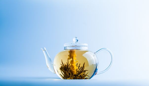 Studio shot of Tea Flower in a Clear Teapot