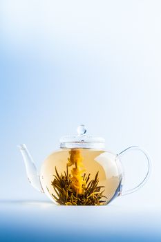 Studio shot of Tea Flower in a Clear Teapot