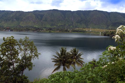 Plants and Lake. Samosir Island North Sumatra, Indonesia.