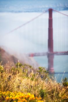 Bridge over the Pacific ocean, Golden Gate Bridge, San Francisco Bay, San Francisco, California, USA