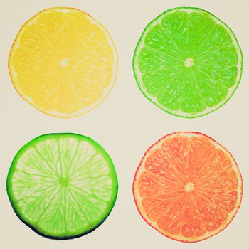 Vintage retro looking Food collage set of agrume slices including lemon lime and orange fruit