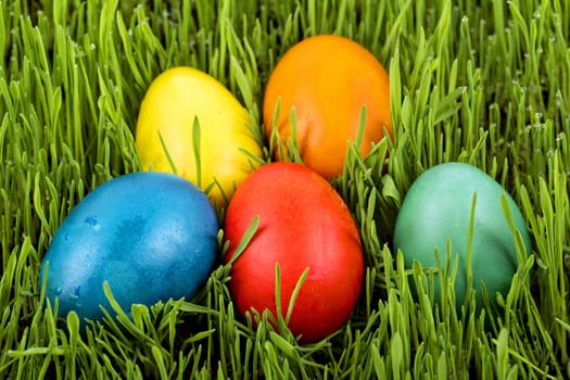 A colourful easter eggs in a grass