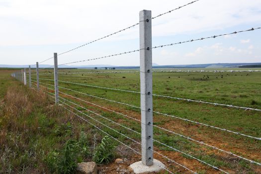 Farm fence with concrete fencing posts and barbed wire strands