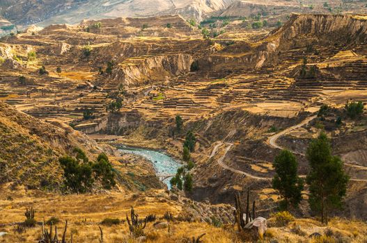 Colca Canyon view from hiking path in Chivay, near Arequipa, Peru