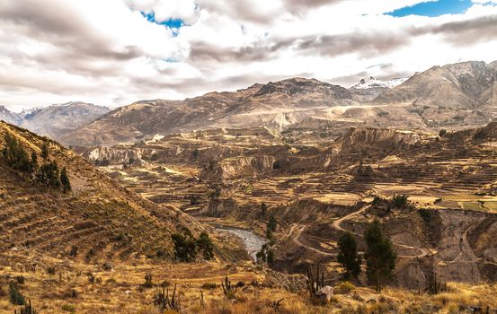 Colca Canyon view from hiking path in Chivay, near Arequipa, Peru