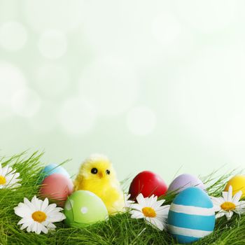 Easter Greeting Card with decorated Easter eggs in the grass and flowers