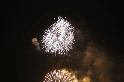 Colorful firework in the black night sky