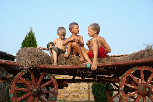 boys sitting on a hay bale on sky background 