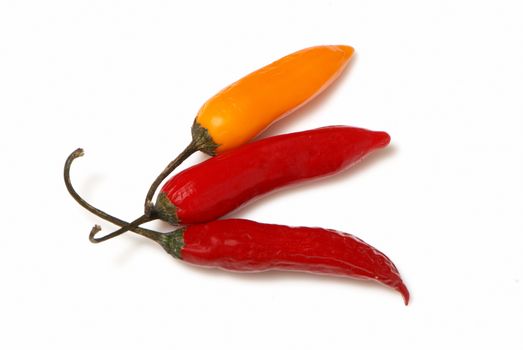 hot chilli peppers isolated on white background 